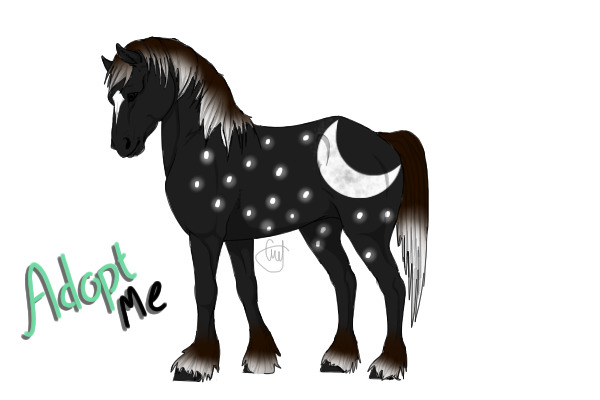 Sugar Pony: Midnght Snack