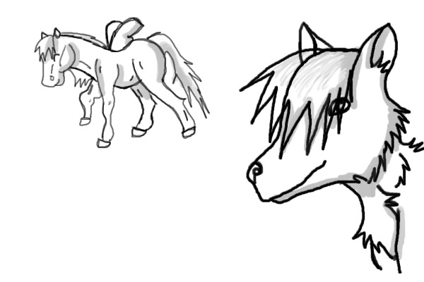 Wolf and Pony lines