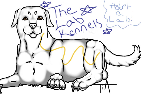 The Lab Kennels: Adopt Your Own Lab