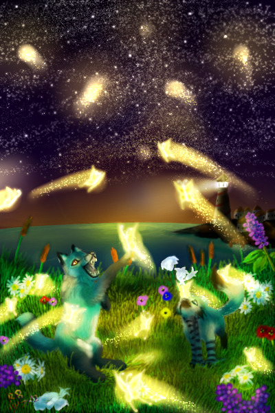 Enchanted Night