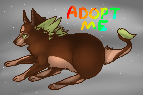 Feather Fluffer for adoption