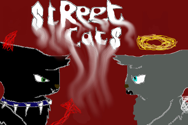 street cats front cover