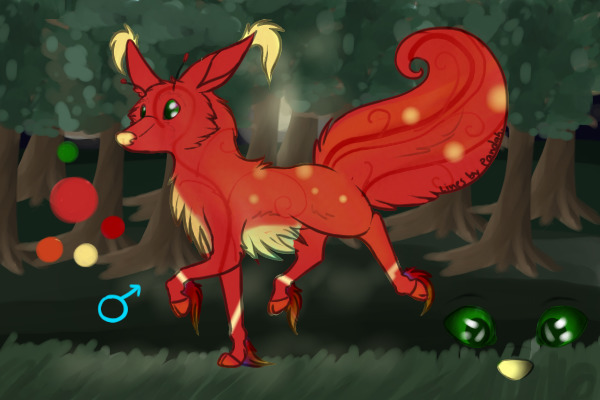 pomme orchard Deer