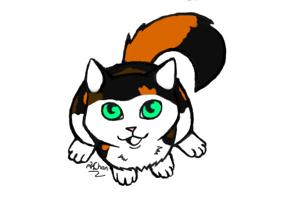 Calico