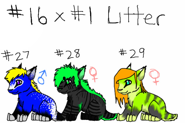 DL #16 x #1 Litter #27, #28(claimed), #29
