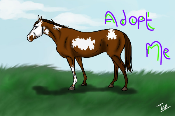 Adopt me for free!