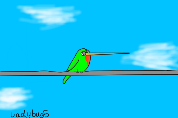 Hummingbird 1- adopt a bird