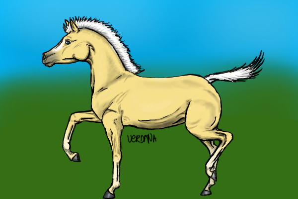 Colored in Foal