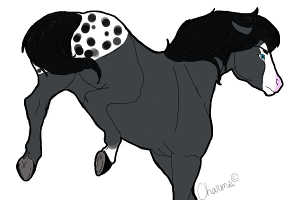 Wild At Heart Stables and Horse Adoptables