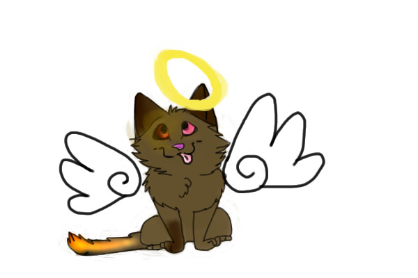 angel kitteh