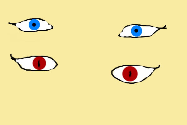David's eyes(reference for my Blood Moon charrie David)