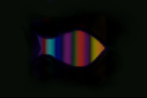 Rainbow fish