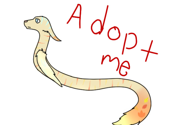 First adoption