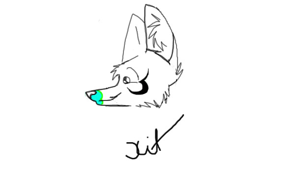 first time drawing a fennec fox