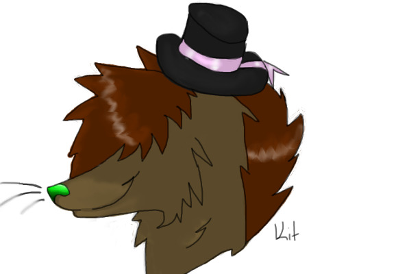 this is a fursona i need to name