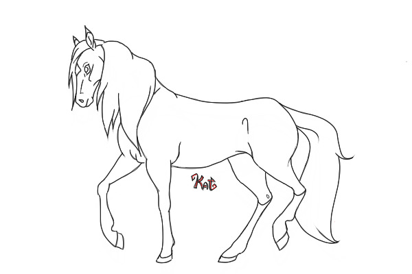 The Aspen Series - Quinn - Horse Drawing