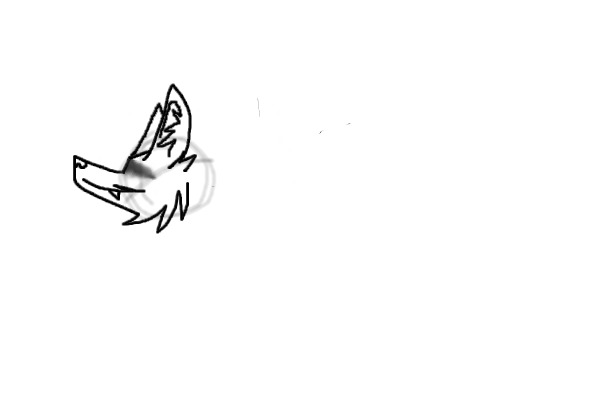 sketch