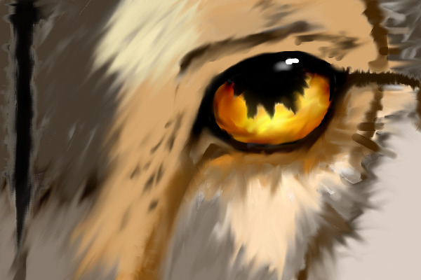 I Have No Idea What I'm Doing