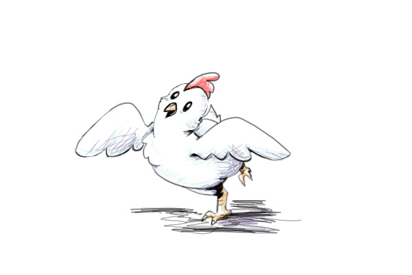 Sketch of a Chicken