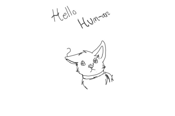 Hello human.