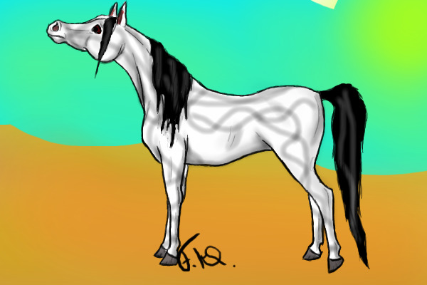 Arabian Horse