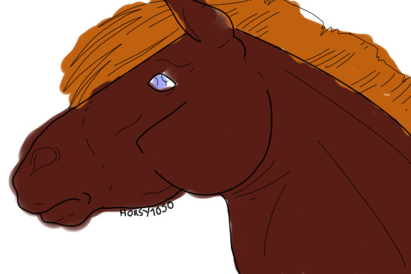 Coloring
