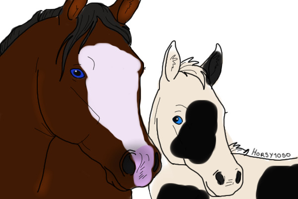 Dixie and Dolly