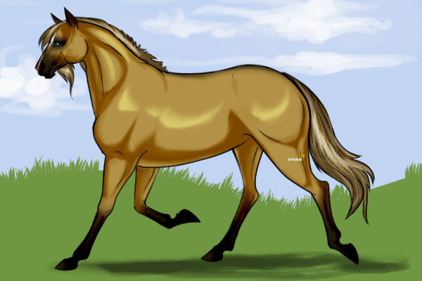 Just Testing things out.