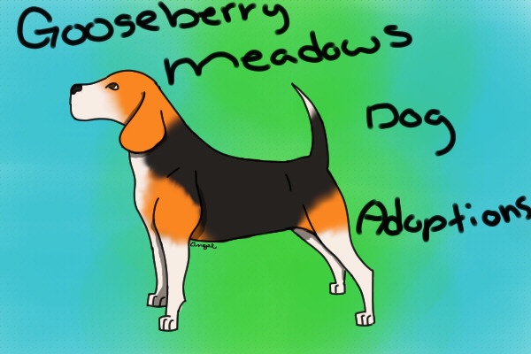 GooseBerry Meadows Adoptions