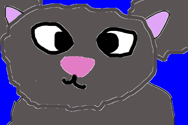 Kitty