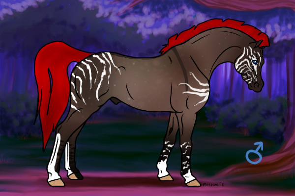 New stallion character