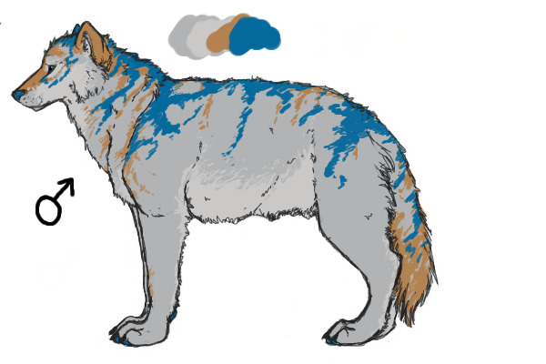 Painted Wolf #4