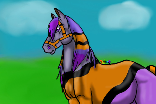 Horse