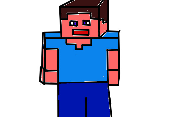 my minecraft character