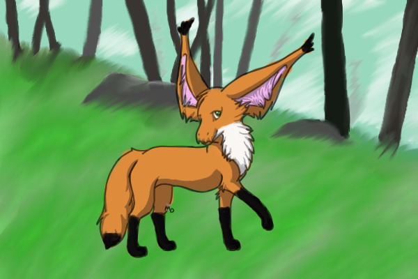 Entry #2