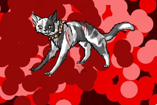Bloodclan Cat