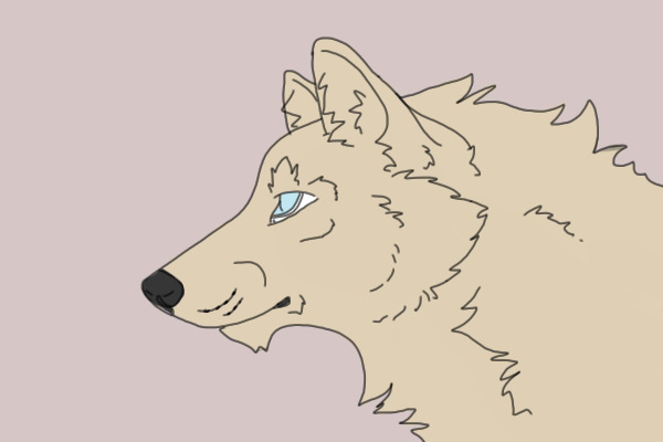 Wolf Drawin