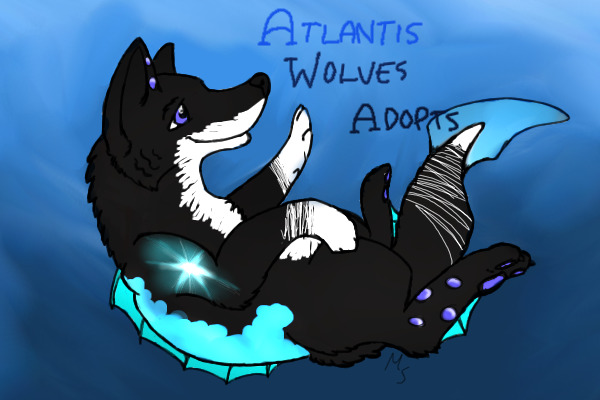The Atlantis Wolves Adopts (AW) OPEN!