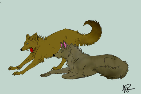 Wolves or Dogs