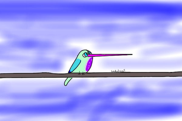 Magic hummingbird- Adopt a Bird