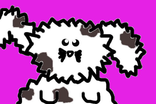 Spot