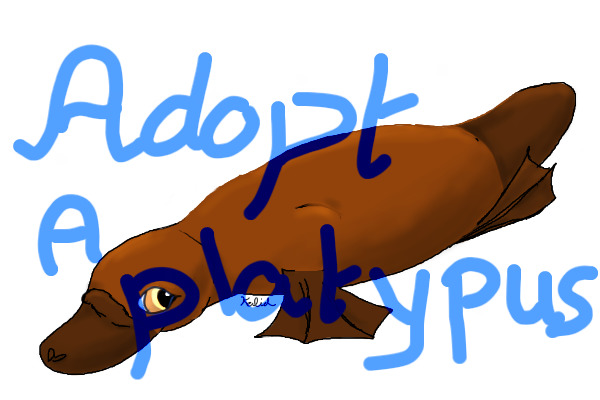 Adopt a Platypus