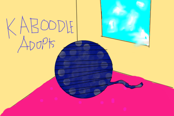 Kaboodle kitten adopts!