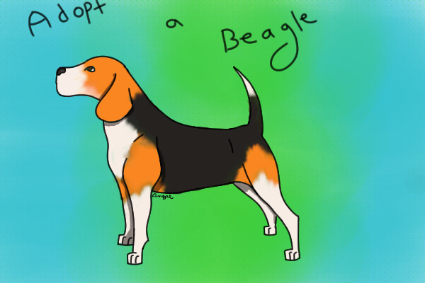 GooseBerry Meadows Adoptions (Beagle)