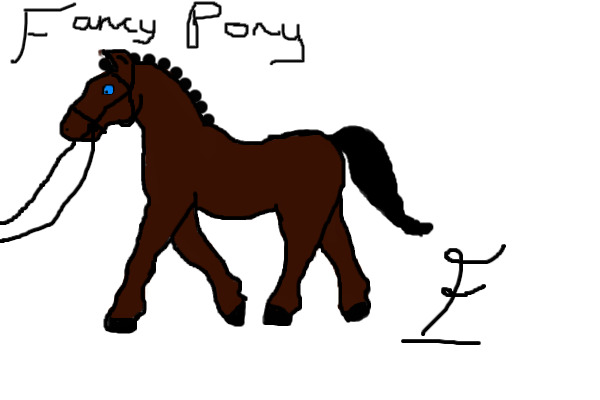 Fancy Pony!