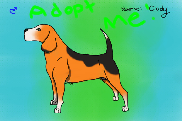 Cody (Beagle)