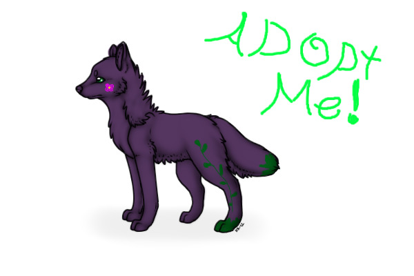 Adopt purple wolf