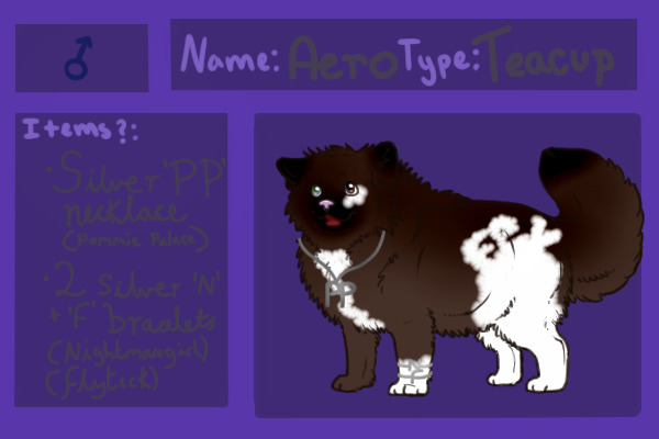 Aero the Teacup Pommie - entry
