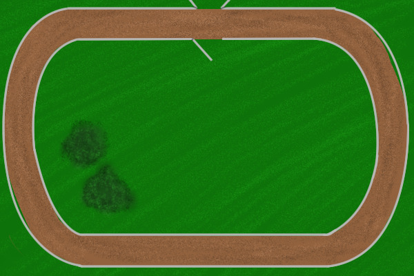 Bayside's Racetrack