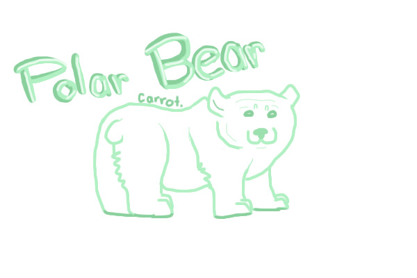 Polar Bear Sketch